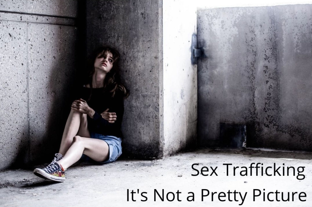 Sex Trafficking & Exploitation
It's Not a Pretty Picture